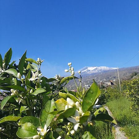 הוילה מסקלי Zagara מראה חיצוני תמונה